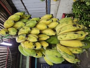 fresh banana