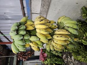 fresh banana