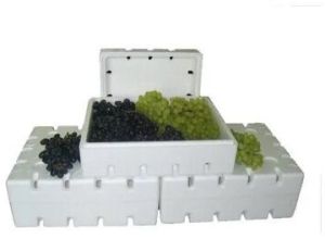 Thermocol Fruits Packaging Box