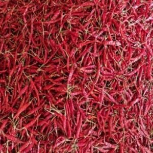 Red Chilli