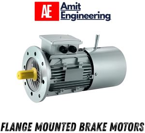 Geared Brake Motor