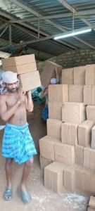 Coconut Coir Pith Blocks
