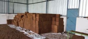 Square Coco Peat Blocks