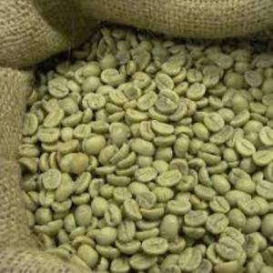 Green Arabica Coffee Beans