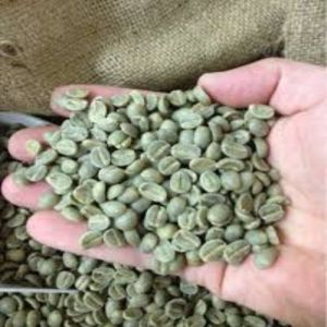 Green Arabica Coffee Beans