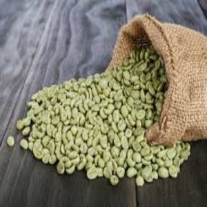 Green Arabica Coffee Beans