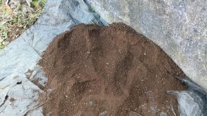 Cow Dung Compost Manure