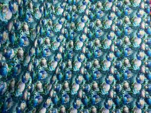 Blue Cotton Floral Printed Fabric