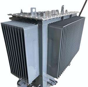 50 Kva to 3150 Kva Flat Wall Distribution Transformer Tanks