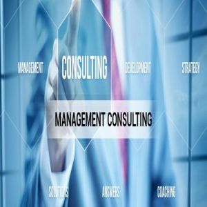 Management Consultancy Services