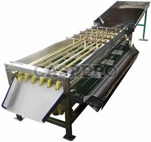 Fruit Sorting Grading Conveyor
