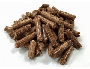 Biomass Briquettes
