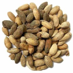 Natural Neem Seed