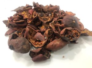 Dried Pomegranate Peel Extract