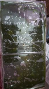 Kaccha Mango Fruit Bar