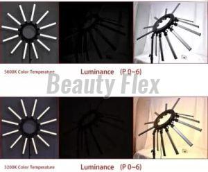 Welocity Professional 12 ARM Professional LED Star Ring Light