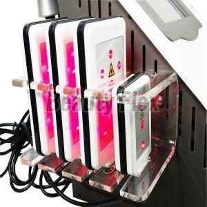 Welocity Professional 6 In 1 Body Lipo Cavitation Machine
