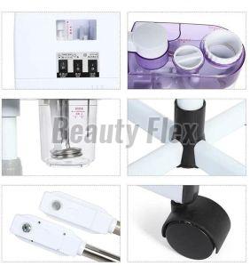 Welocity Professioanl 2 in 1 Hot & Cold Facial Steamer Machine