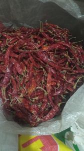 Guntur Red Chilli