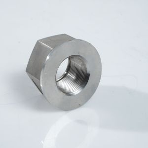 Stainless Steel Hex Nuts