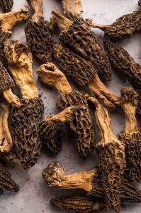 Kashmiri Morels Mushroom