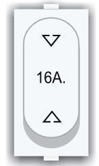 16 AMP 2 Way Capsule Switch