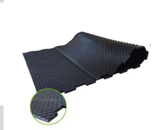 Amoebic Top Locks Cow Mats