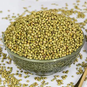 Organic Green Coriander Seed