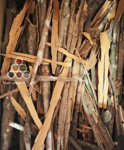 Premium Split Cassia