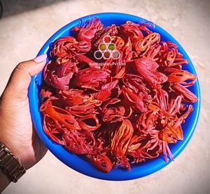 Red Fullflower Nutmace