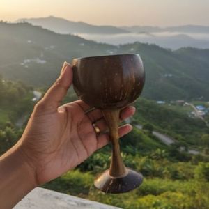 Coconut Shell Wine Glasses