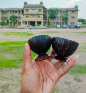 Coconut Shell Small Cups