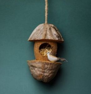 Coconut Shell Bird Nest