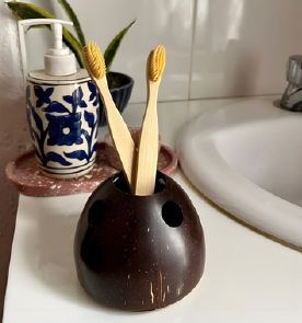 Coconut Shell Toothbrush Holder