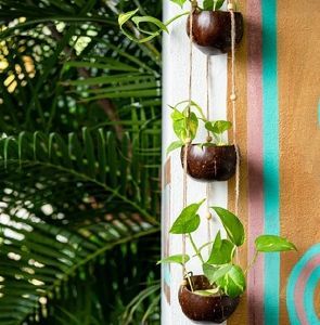 Coconut Shell Hanging Flower Pots