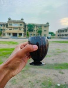 Coconut Shell Jar Glasses