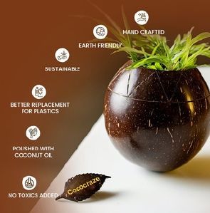 Coconut Shell Tabletop Flower Pots