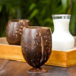 Coconut Shell Jar Glasses
