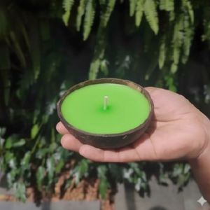 Coconut Shell Green Diya