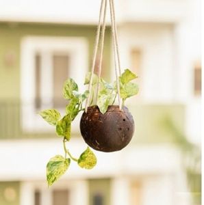 Coconut Shell Hanging Flower Pots