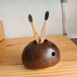 Coconut Shell Toothbrush Holder