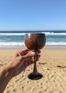 Coconut Shell Wine Glasses