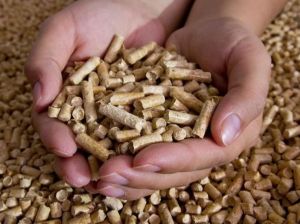Biomass Wood Pellets