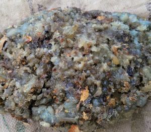 Boswellia Serrata