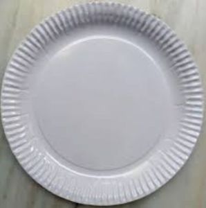 10 Inch 100 GSM Economy Paper Plate