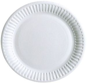 10 Inch 120 GSM Standard Paper Plate