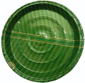 10 Inch 180 GSM Green Paper Plate