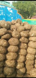 Elephant Yam