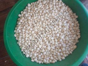5 Suta Phool Makhana