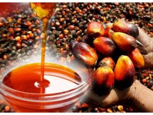 Natural Red Palm Oil